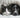 Do you winter feed your Dog and Cat?